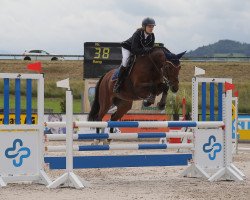 jumper Valera 6 (Hanoverian, 2008, from Vesuv 35)