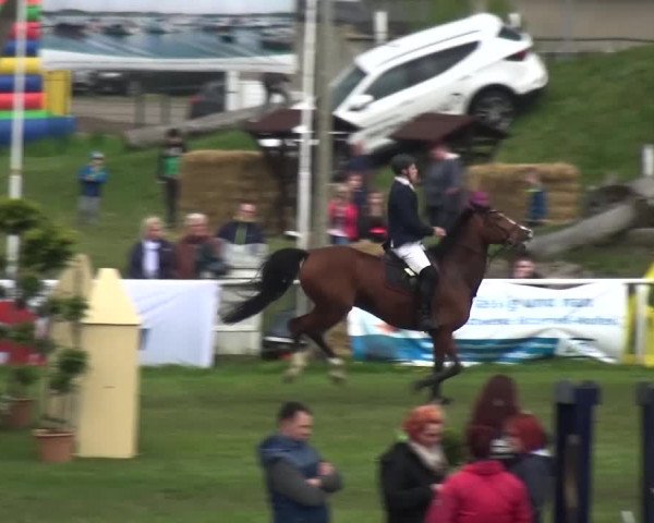 Reitturnier Greppin 2017