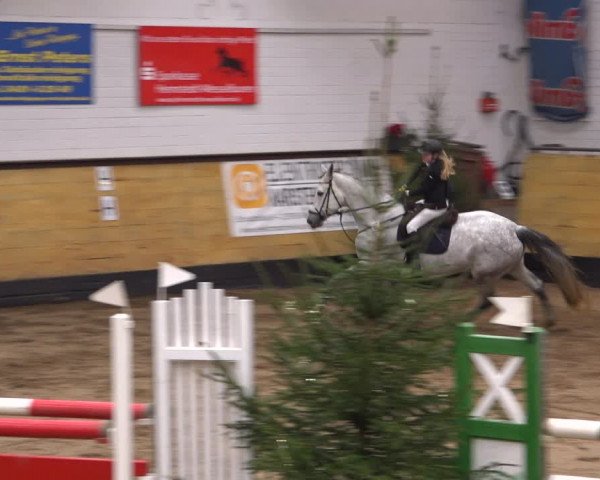 Reitturnier Heide 2021