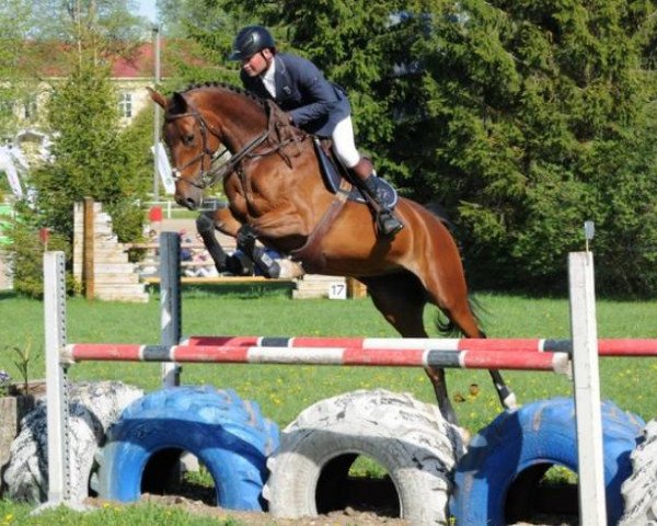 dressage horse Elinneke (KWPN (Royal Dutch Sporthorse), 2009, from Ampère)