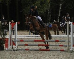 dressage horse Curly Sue 202 (Pony without race description, 2013)