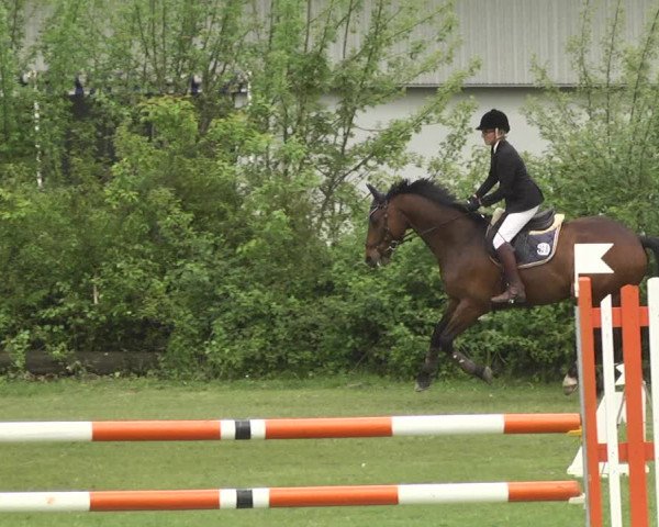 Reitturnier Schwaigern 2017