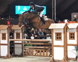 stallion Fantast Vh Zwarte Pannenhof (Belgian Warmblood, 2005, from Clinton)