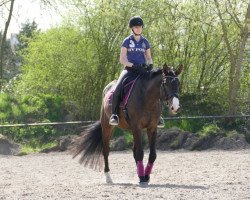 dressage horse Kiki de la Rose (Holsteiner, 2009, from Quirado)