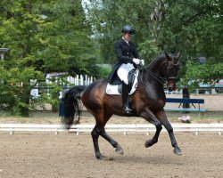 dressage horse Finlay G (Rhinelander, 2009, from Flovino)