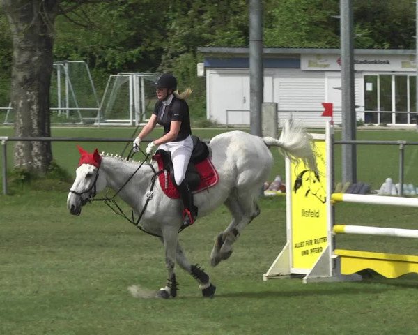 Reitturnier Schwaigern 2017