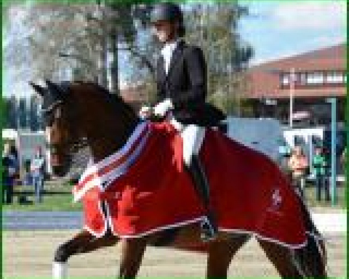 dressage horse Orla Vom Loo CH (Swiss Warmblood, 2010, from Sir Donnerhall I)