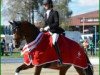 dressage horse Orla Vom Loo CH (Swiss Warmblood, 2010, from Sir Donnerhall I)