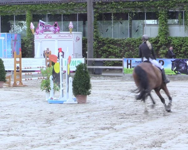 Reitturnier Nienberge 2017