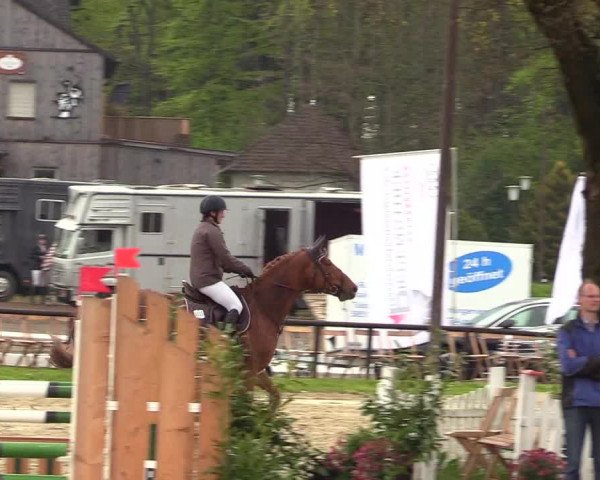 Reitturnier Halver 2017