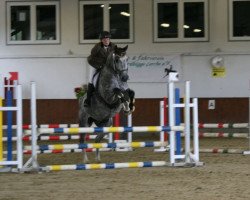 dressage horse Caipi 8 (Westphalian, 2010, from Camax L)