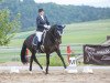 dressage horse Oktavia (Trakehner, 2001, from Tambour)