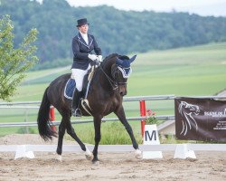 dressage horse Oktavia (Trakehner, 2001, from Tambour)