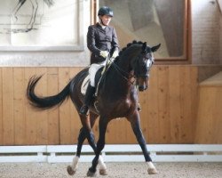 dressage horse Rilka (+) (Rhinelander, 2000, from Rilke)