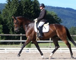 dressage horse Riccia de Meuyrattes CH (Swiss Warmblood, 2005, from Riccio)