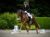 Dressurpferd Bretton Leaf KWG (Schweizer Warmblut, 2012, von Bretton Woods)