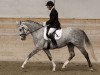 Zuchtstute Adelina Grande KWG CH (Schweizer Warmblut, 2007, von Don Marco 3)