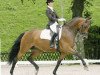 Pferd Luna Rossa KWG CH (Schweizer Warmblut, 1999, von Rohdiamant)