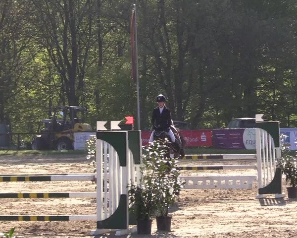Reitturnier Halver 2017