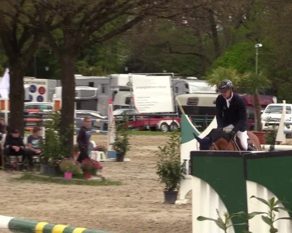 Reitturnier Halver 2017