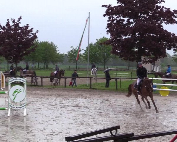 Reitturnier Ahlen 2017