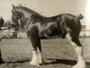 stallion Green Leaf Legend of Cloverbar (Clydesdale, 1992, from Greendykes Pioneer)