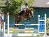 jumper Lilly 657 (Oldenburg show jumper, 2011, from Last Man Standing)