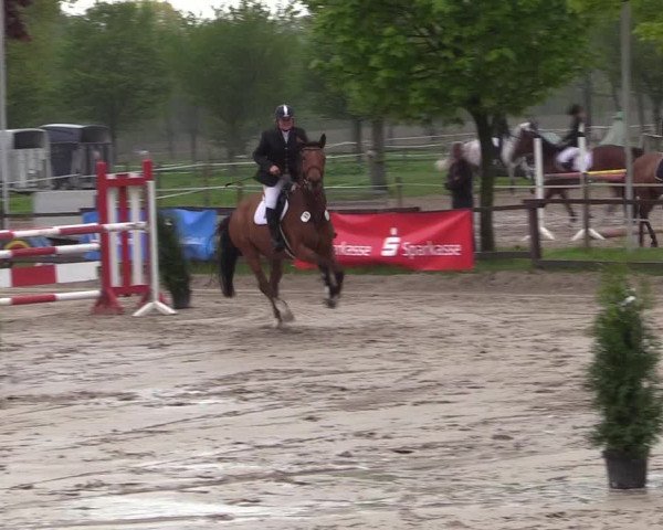 Reitturnier Ahlen 2017
