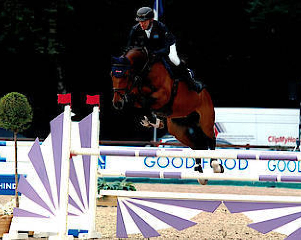 Springpferd PETIT BLUE (Westfale, 2012, von Plot Blue)