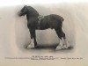 stallion The Bruce (Clydesdale, 1907, from Revelanta)