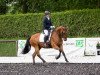 dressage horse Mona Lisa 460 (German Sport Horse, 2014, from Decurio 3)