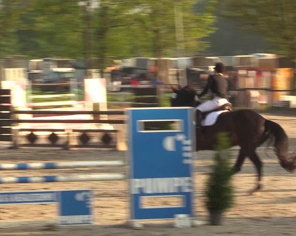 Reitturnier Ahlen 2017