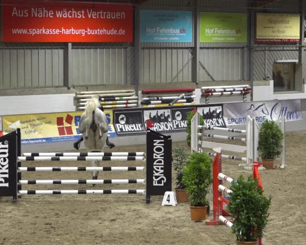 Reitturnier Luhmühlen 2021