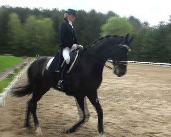 Reitturnier Halver 2017