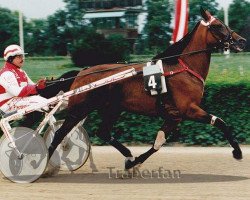 broodmare Ovnita (Traber, 1992, from Ovni (FR))