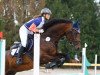 jumper Coeur de Classic (German Sport Horse, 2009, from Classic Quainton)