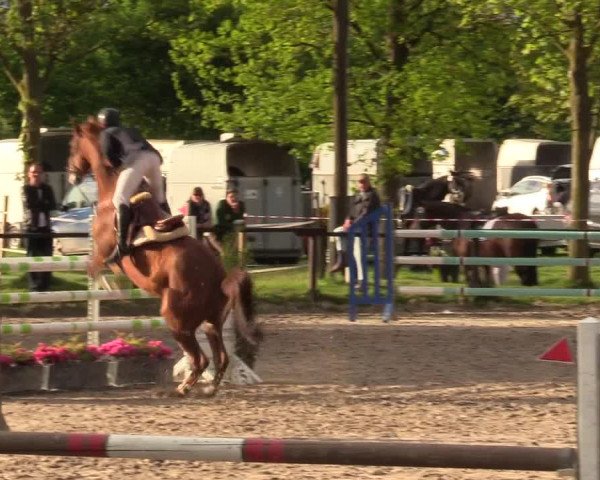 Reitturnier Ahlen 2017
