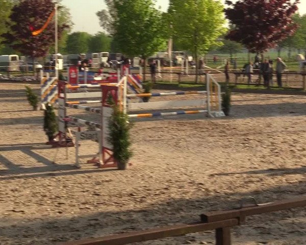 Reitturnier Ahlen 2017