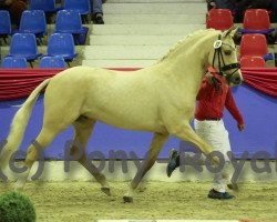 stallion Dating Point at (Pura Raza Espanola (PRE), 2016, from Dating At NRW)