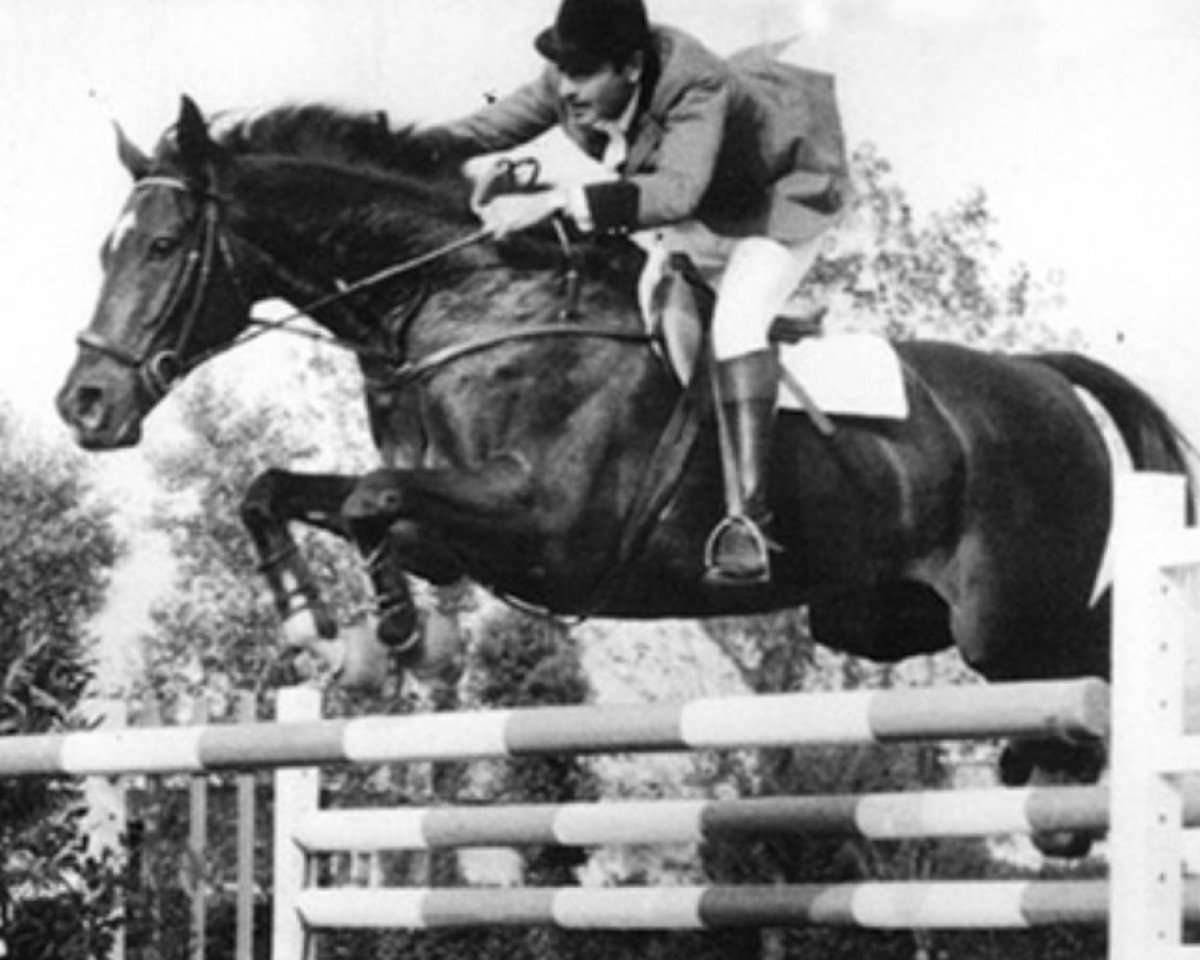 broodmare Heureka Z (Holsteiner, 1960, from Gannef)