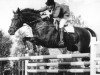 horse Heureka Z (Holsteiner, 1960, from Gannef)