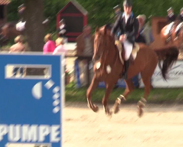 Reitturnier Ahlen 2017