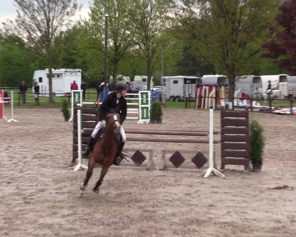 Reitturnier Ahlen 2017