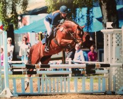 Springpferd Caramel B (Deutsches Reitpony, 2009, von Constantin)