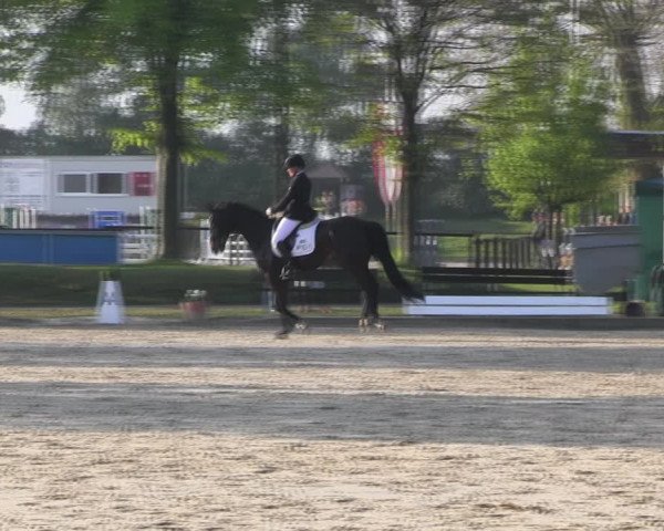 Reitturnier Ahlen 2017