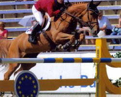 jumper Available Versace (KWPN (Royal Dutch Sporthorse), 2002, from Goodtimes)