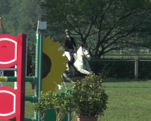 Reitturnier Lienen 2017