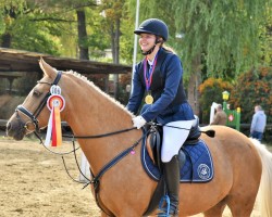 jumper Beauty (German Riding Pony, 2009, from Der Kleine Donnerhall W)