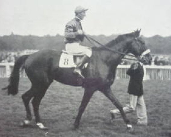 stallion Eclair Au Chocolat XX (Thoroughbred, 1935, from Bubbles xx)