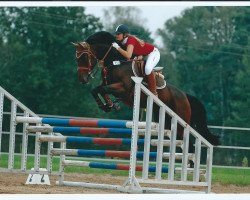 broodmare Romina (Hanoverian, 2000, from Rotspon)